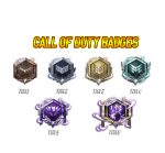 6x call of Duty Ranking Badges and bits ! BestTwitch