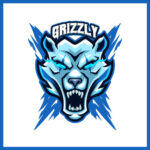 Grizzly Bears Gaming Logo – Best Price!